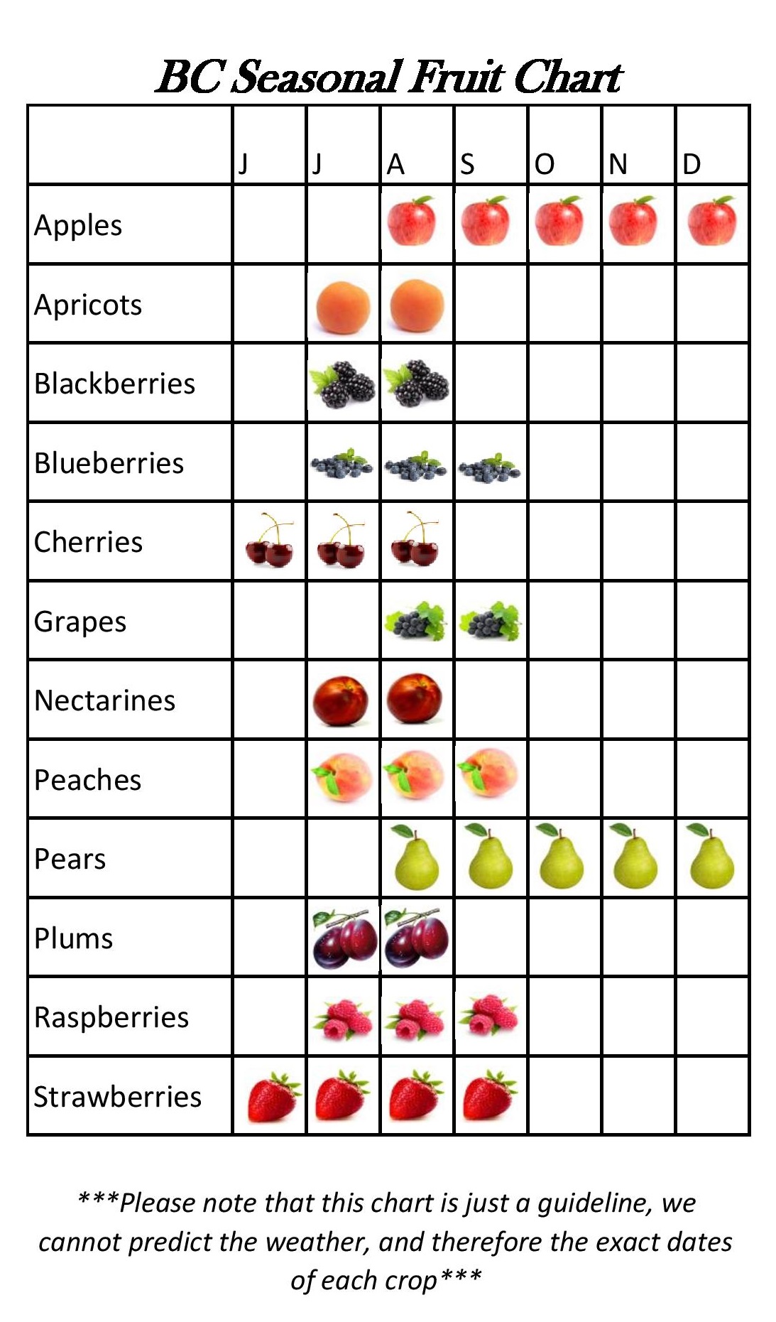 CJ&rsquo;s Market Seasonal Fruit Chart
